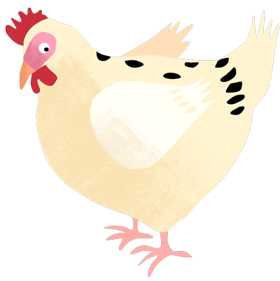 White Chicken illustration